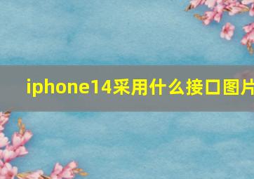 iphone14采用什么接口图片