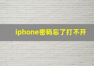 iphone密码忘了打不开