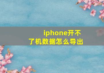 iphone开不了机数据怎么导出