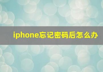 iphone忘记密码后怎么办