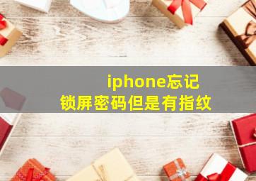 iphone忘记锁屏密码但是有指纹