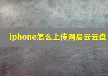 iphone怎么上传网易云云盘