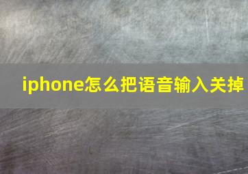 iphone怎么把语音输入关掉