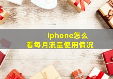 iphone怎么看每月流量使用情况