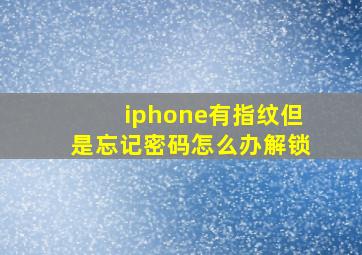 iphone有指纹但是忘记密码怎么办解锁