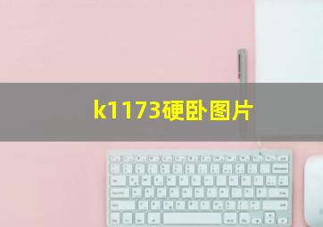 k1173硬卧图片