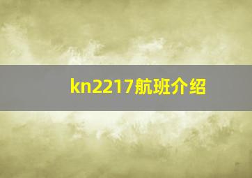 kn2217航班介绍