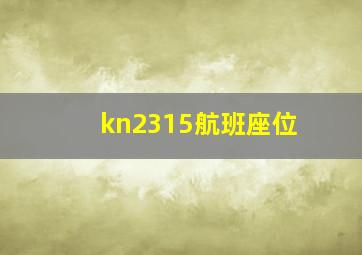 kn2315航班座位