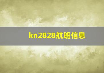 kn2828航班信息