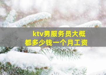 ktv男服务员大概都多少钱一个月工资