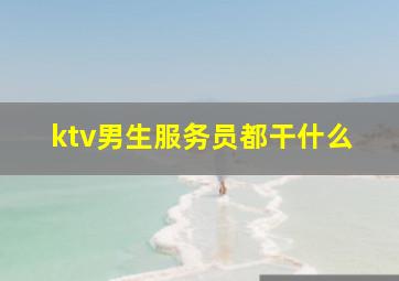 ktv男生服务员都干什么