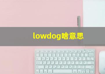 lowdog啥意思