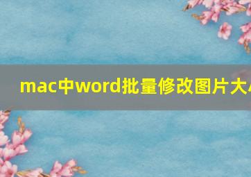 mac中word批量修改图片大小