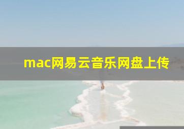 mac网易云音乐网盘上传