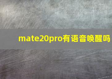 mate20pro有语音唤醒吗