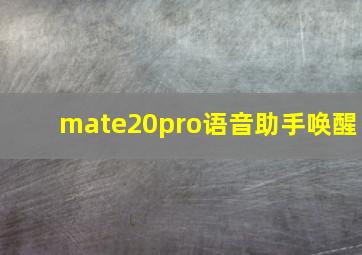 mate20pro语音助手唤醒