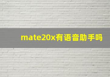 mate20x有语音助手吗