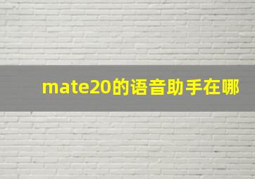 mate20的语音助手在哪