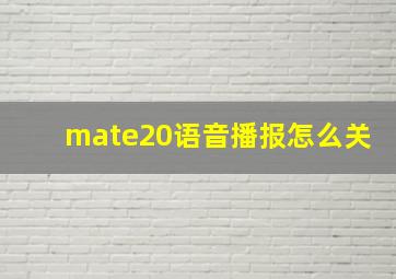 mate20语音播报怎么关