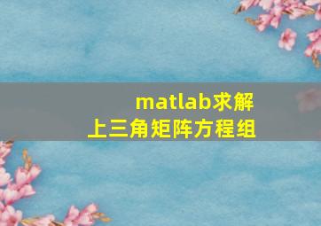 matlab求解上三角矩阵方程组