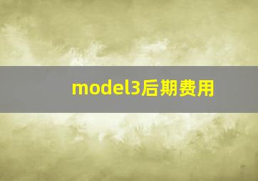 model3后期费用