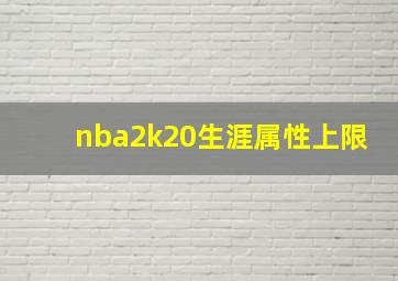 nba2k20生涯属性上限