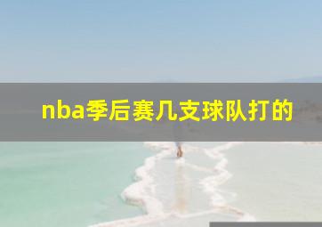 nba季后赛几支球队打的