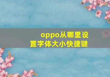 oppo从哪里设置字体大小快捷键