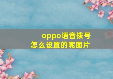 oppo语音拨号怎么设置的呢图片