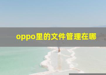 oppo里的文件管理在哪