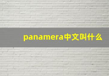 panamera中文叫什么