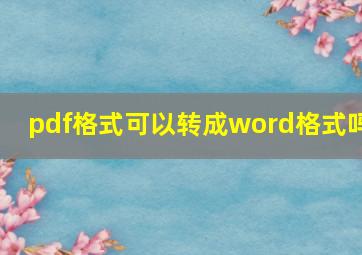 pdf格式可以转成word格式吗