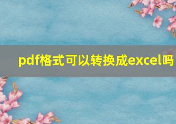 pdf格式可以转换成excel吗