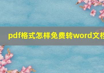 pdf格式怎样免费转word文档