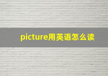 picture用英语怎么读