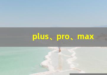 plus、pro、max