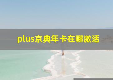 plus京典年卡在哪激活