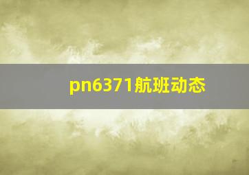 pn6371航班动态