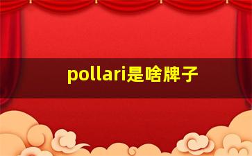 pollari是啥牌子