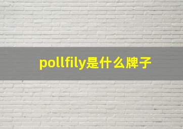 pollfily是什么牌子