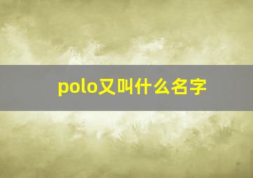 polo又叫什么名字