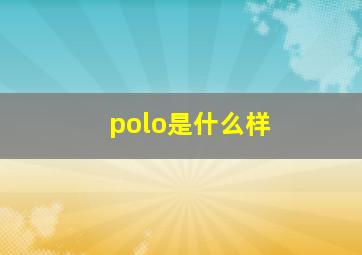 polo是什么样