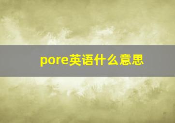 pore英语什么意思