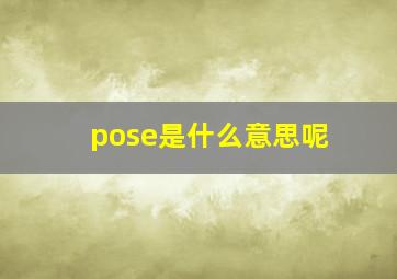 pose是什么意思呢