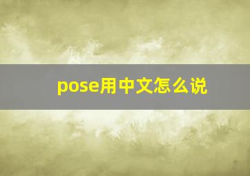 pose用中文怎么说