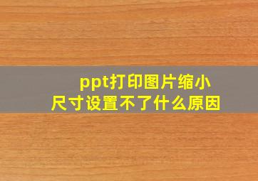 ppt打印图片缩小尺寸设置不了什么原因