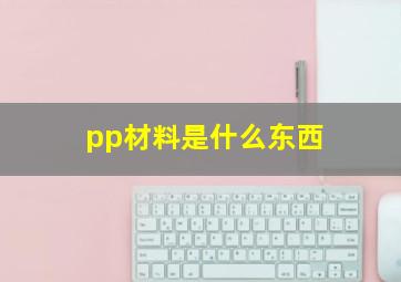 pp材料是什么东西