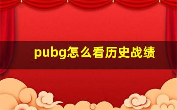 pubg怎么看历史战绩