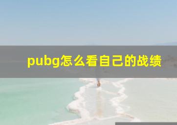 pubg怎么看自己的战绩