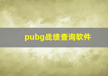 pubg战绩查询软件